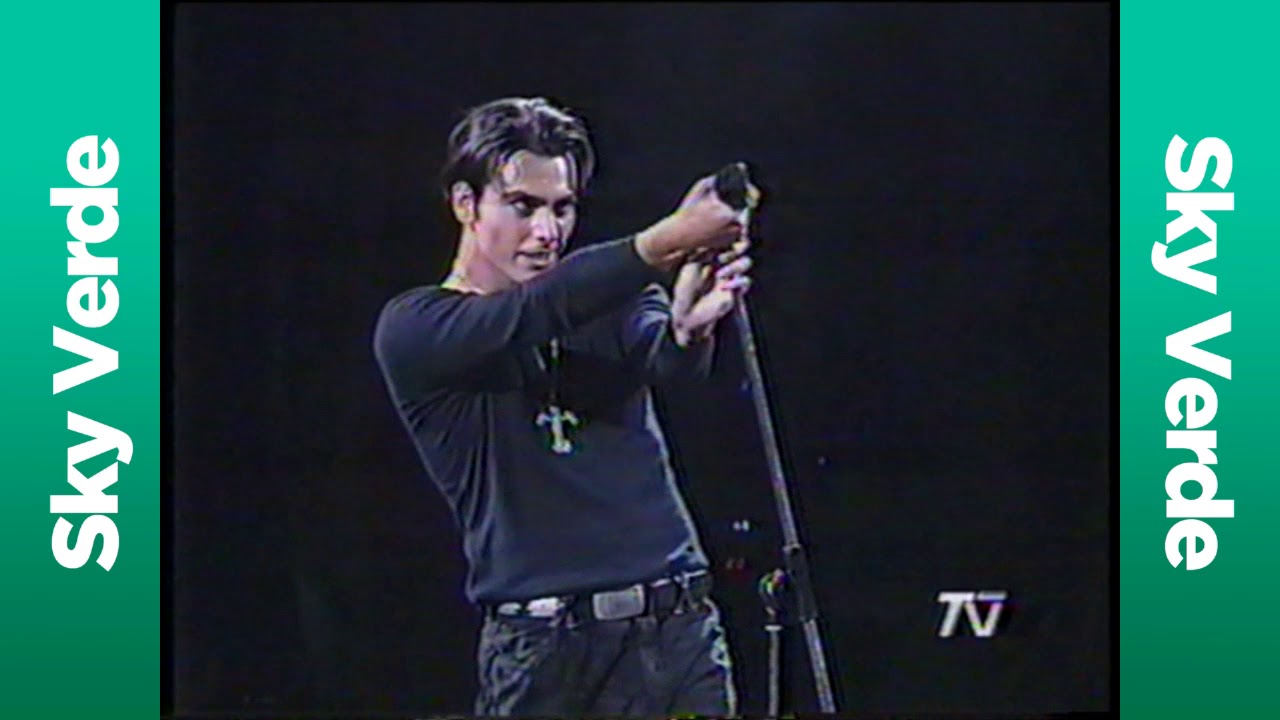 La Ley en Viña 1993 [Completo en alta calidad]