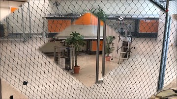 Real-time Vision-based Autonomous 3D Navigation for MAVs in GPS-denied Environments