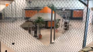 Real-time Vision-based Autonomous 3D Navigation for MAVs in GPS-denied Environments