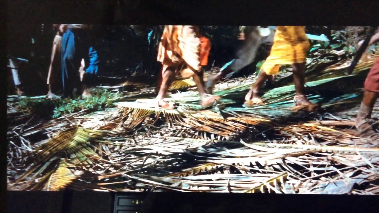 Swiss Family Robinson Tiger Trap