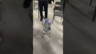 Робот 🤖 Robot new technology. Побывала на бизнес ивенте