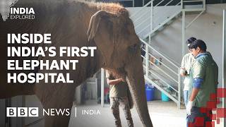 Meet The Patients Of Indias First Elephant Hospital Bbc News India