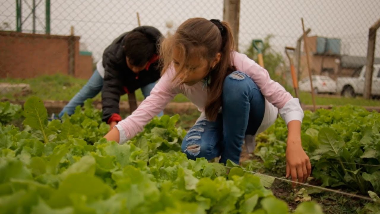 chacoalhar Chicos con grandes compromisos