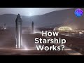 Starship Explained: Everything You Must Know about the SpaceX Starship (BFR)