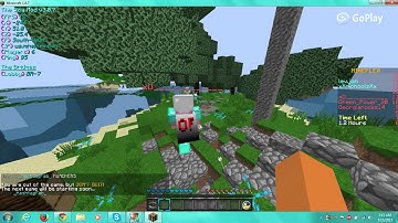 Mineplex Bridges Hacker