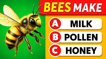 Are You Smarter Than a High School Student? 🤓✅🏆 General Knowledge Quiz
