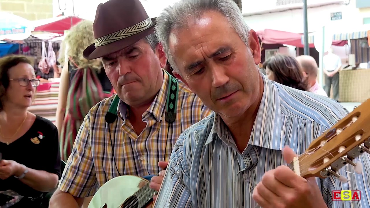 SONY FDR-AX53-Cuadrilla de Huebras, en el Bonillo. 2017.  Malagueñas. FHD 1080P