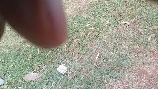 Skating in jinja