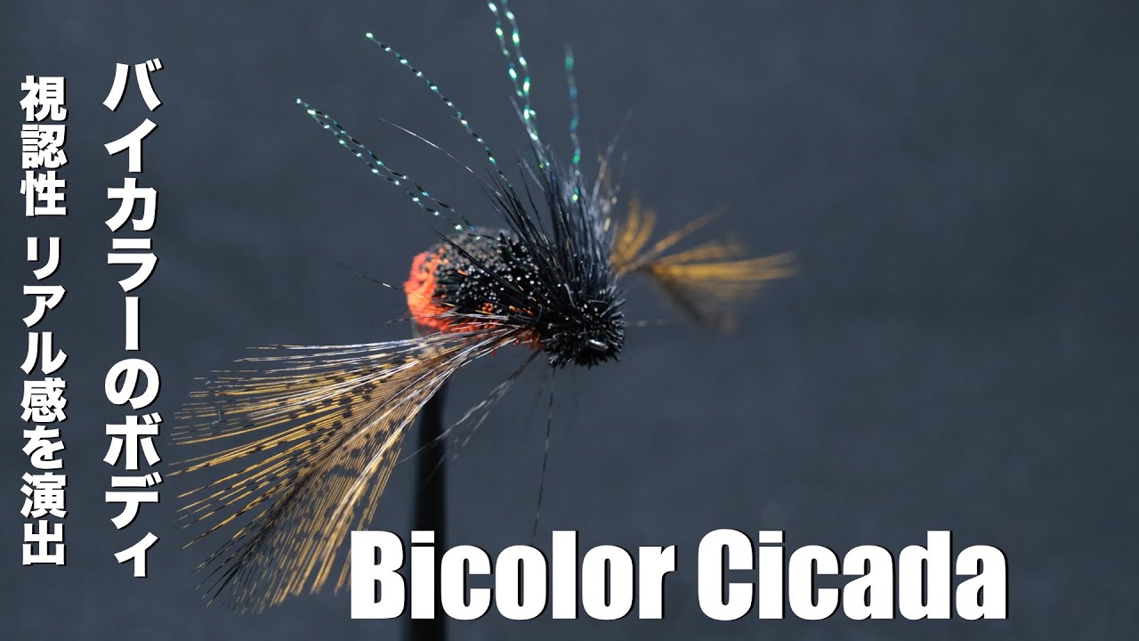 【支笏湖フライパターン＃4】バイカラーのクリップトボディを使ってハルゼミを巻いてみました【2022北海道 フライタイイング//Fly Tying Japan】