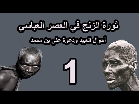 القسم الأول ثورة الزنج في العصر العباسي أحوال العبيد ودعوة علي بن محمد