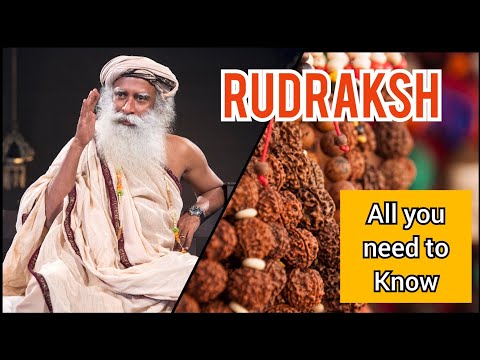 Rudraksh - All you need to know | Sadhguru Explains #TheMysticGuru