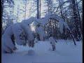 05 Siberia: The Frozen Forest