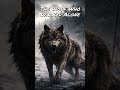 Epic Viking Music - The Wolf Who Walked Alone | Legendary Norse War Anthem &amp; Battle Cry