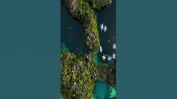 تلاوات مختارة ﴿ ,, فَأَمَاتَهُ اللَّهُ مِائَةَ عَامٍ ثُمَّ بَعَثَهُ ۖ  ,, ﴾