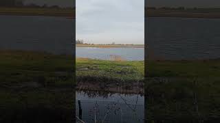 Berusaha berdamai dengan alam di tempat pengamatan burung. Tapi, ya, mereka berdua mengumpat. Maaf sekali.