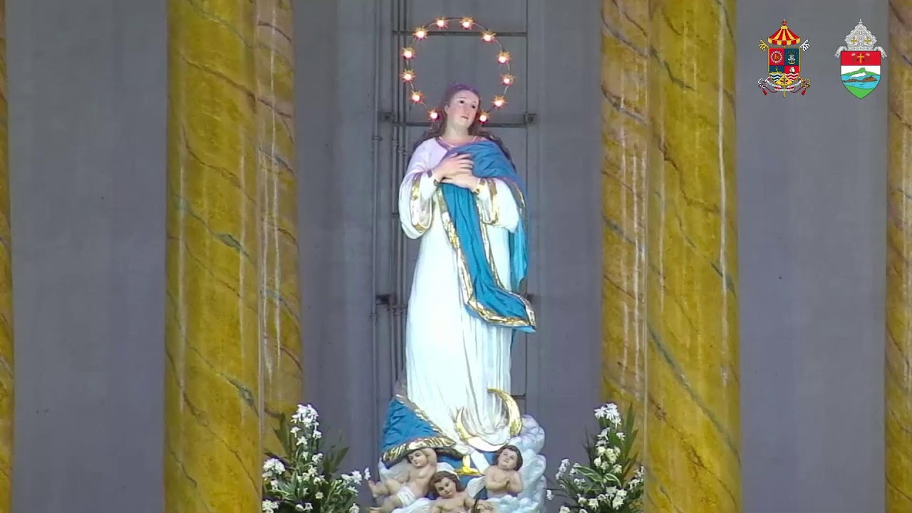 28 January 2026  | 7:00 AM 𝐅𝐞𝐚𝐬𝐭 𝐃𝐚𝐲 𝐨𝐟 𝐒𝐭. 𝐓𝐡𝐨𝐦𝐚𝐬 𝐀𝐪𝐮𝐢𝐧𝐚𝐬