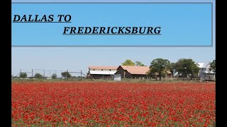 Hidden gem of TEXAS Fredericksburg....