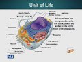 ZOO505 Cell and Molecular Biology Lecture No 6