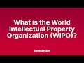 What is the meaning of the world intellectual property organization wipo audio explainer