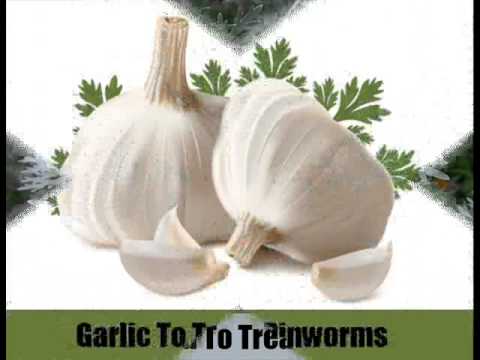 How do you get rid of pinworms without medication?