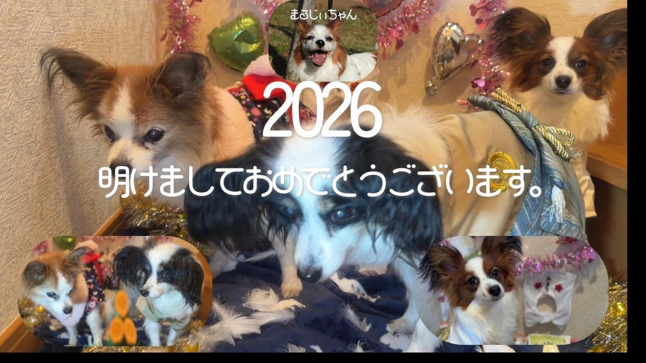 新年のご挨拶m(__)m