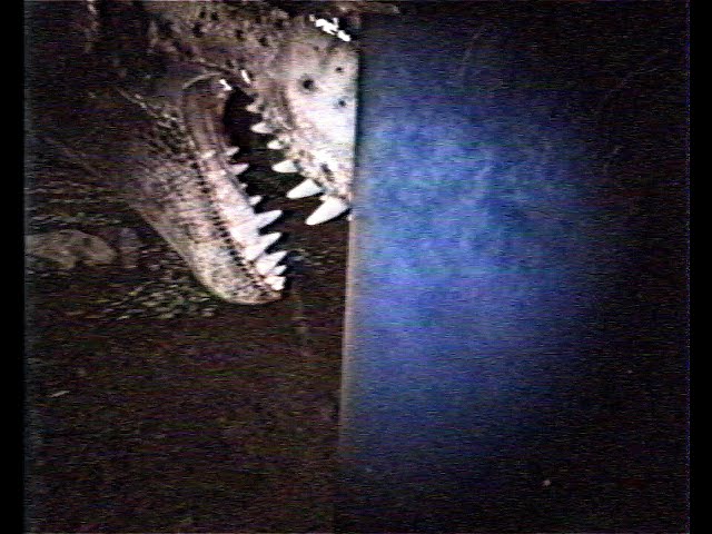 |EN| Jurassic Park - Found Footage: Outpost B