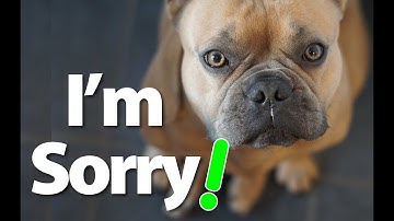 The 5 Steps in an Authentic Apology