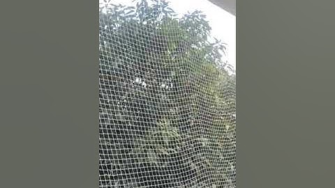 Balcony protection net | Anti bird net | Pigeon protection net | 18001024540