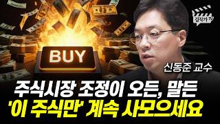 주식시장 조정이 오든, 말든 '이 주식만' 계속 사모으세요 (신동준 교수)