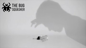 The Bug Squasher - Bug Tracking Tool For Websites - Join Our Journey Brad