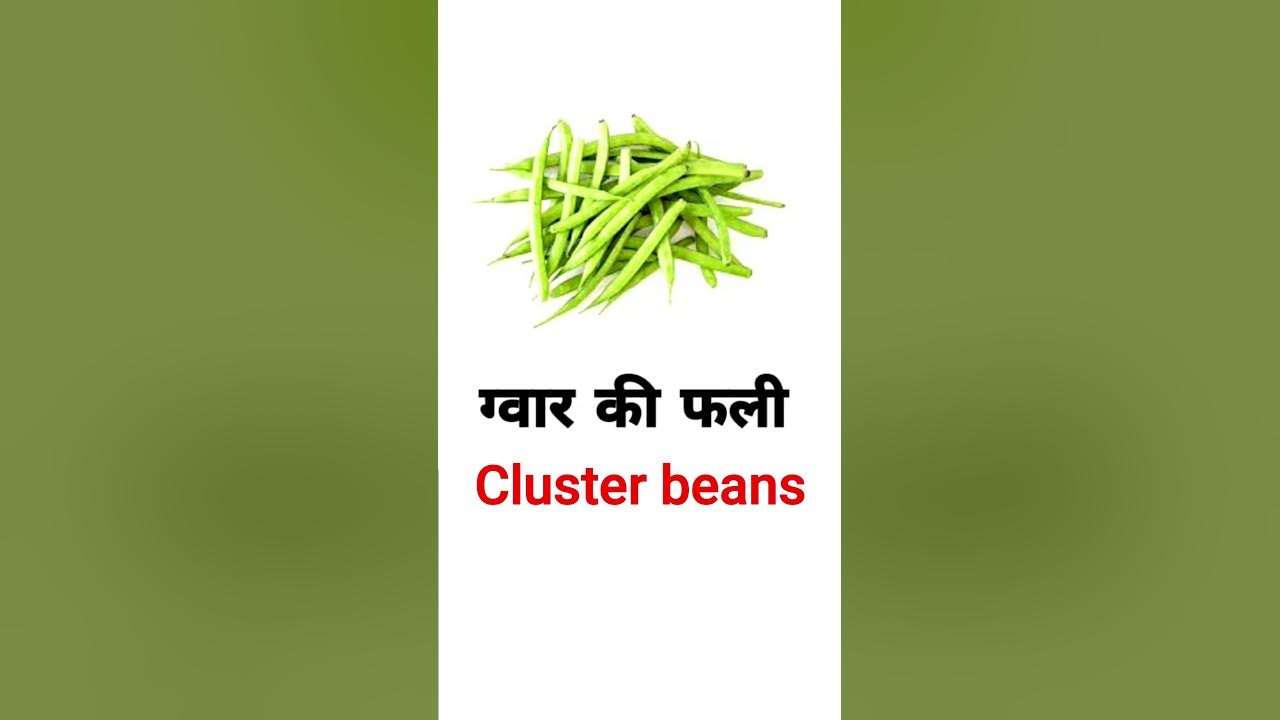  gwar ki fali in english