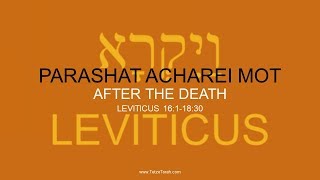 (Part C) Weekly Torah Portion: 29 ACHAREI MOT - AFTER THE DEATH - LEVITICUS 16:1-18:30 Wealth