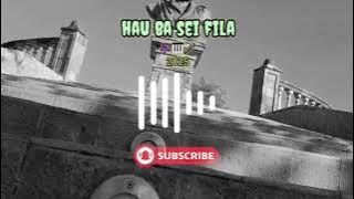 HAU BA SEI FILA Musik 2025🎶🎤🎹🔥