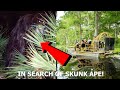 Swamp hunt for fla skunk ape with thirdphaseofmoon  parody