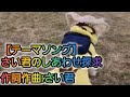【テーマソング】さい君のしあわせ探求~作詞作曲:さい君~