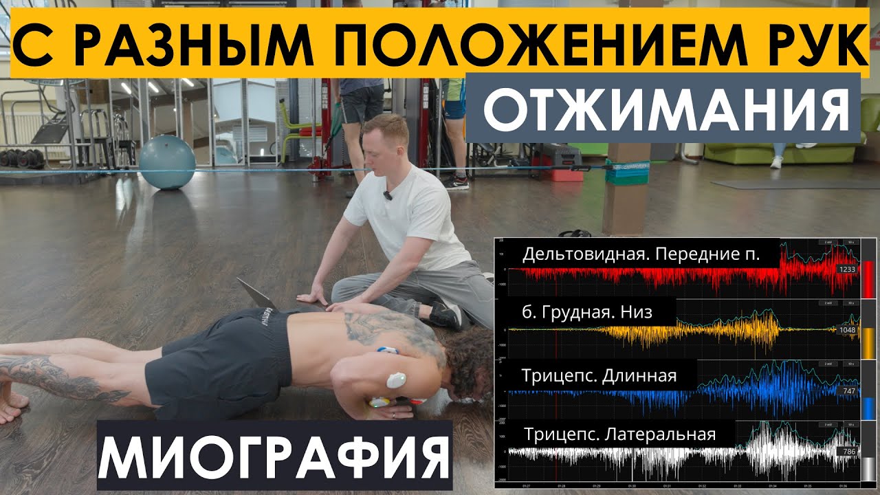 Отжимания с разным положением рук. Что меняется? Миограф - YouTube