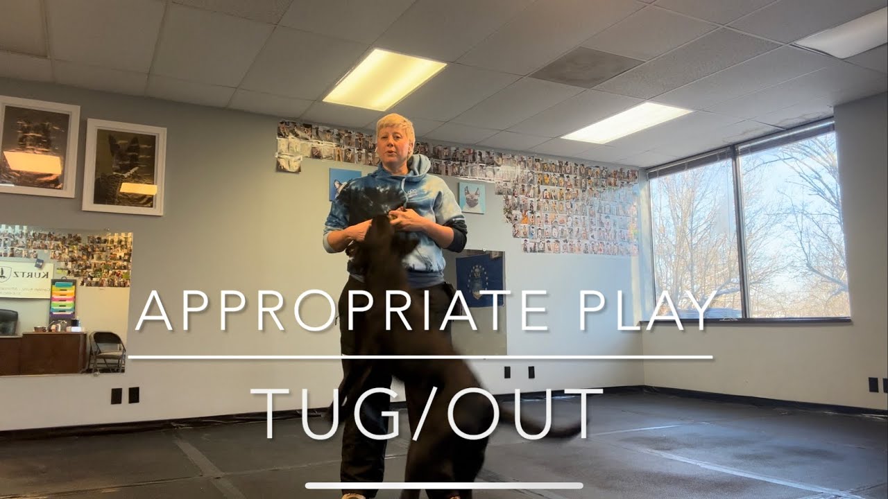 Appropriate Play (Tug & Out)