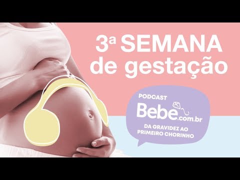 Vídeo: 3 Semanas De Gravidez - Corrimento, Barriga, Tamanho Fetal