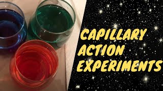 Capillary Action Experiments