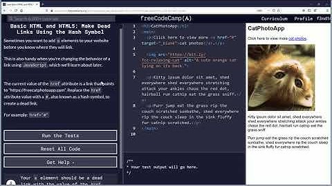Make Dead Links Using the Hash Symbol Free Code Camp Org Basic HTML and HTML5