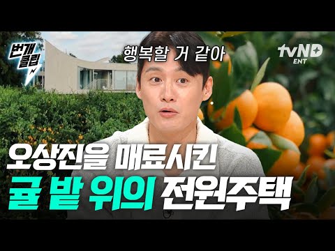 [#프리한닥터M] <strong>제주</strong> 그 자체! 귤밭 품은 전원주택을 공개합니다🍊 사방이 감귤로 둘러싸인 오감만족 <strong>힐링</strong> 하우스🍃 | #번개클립