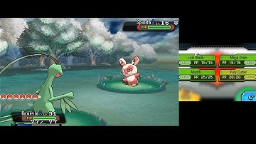 Pokémon Omega Ruby [Part 21: Soot and Spinda] (No Commentary)