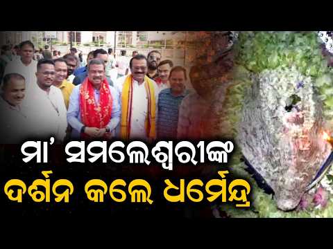ମା’ ସମଲେଶ୍ୱରୀଙ୍କ ଦର୍ଶନ କଲେ ଧର୍ମେନ୍ଦ୍ର | Dharmendra Pradhan Visits Maa Samaleswari Temple |Argus News