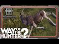 Way of the Hunter 2 - Day 1 (No Commentary)