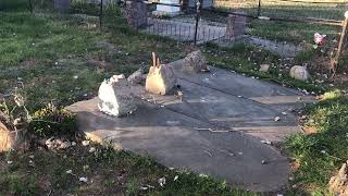 The Graves Of Three Witches Of Taos