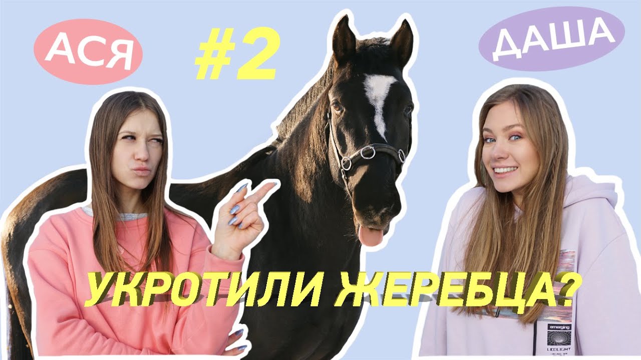 Киа рольф на магистральной