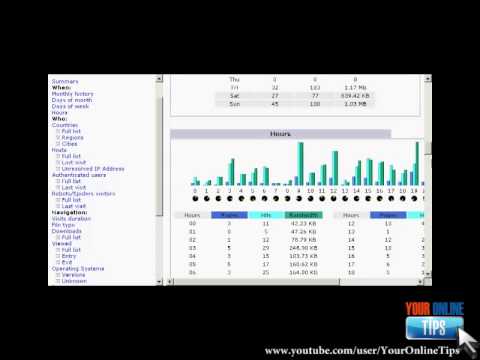How to Check Awstats