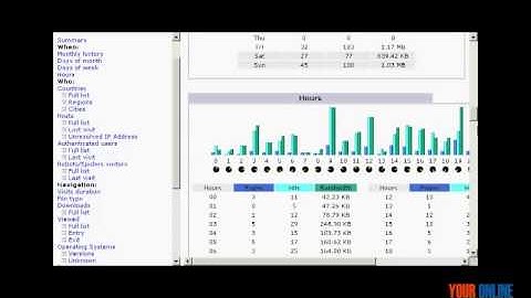 How to Check Awstats