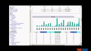 How to Check Awstats