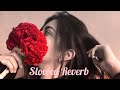 Night Lofi Song | Romantic Mashup | Slowed + Reverb | Lofi || Heart Broken (Use Headphones 🎧)